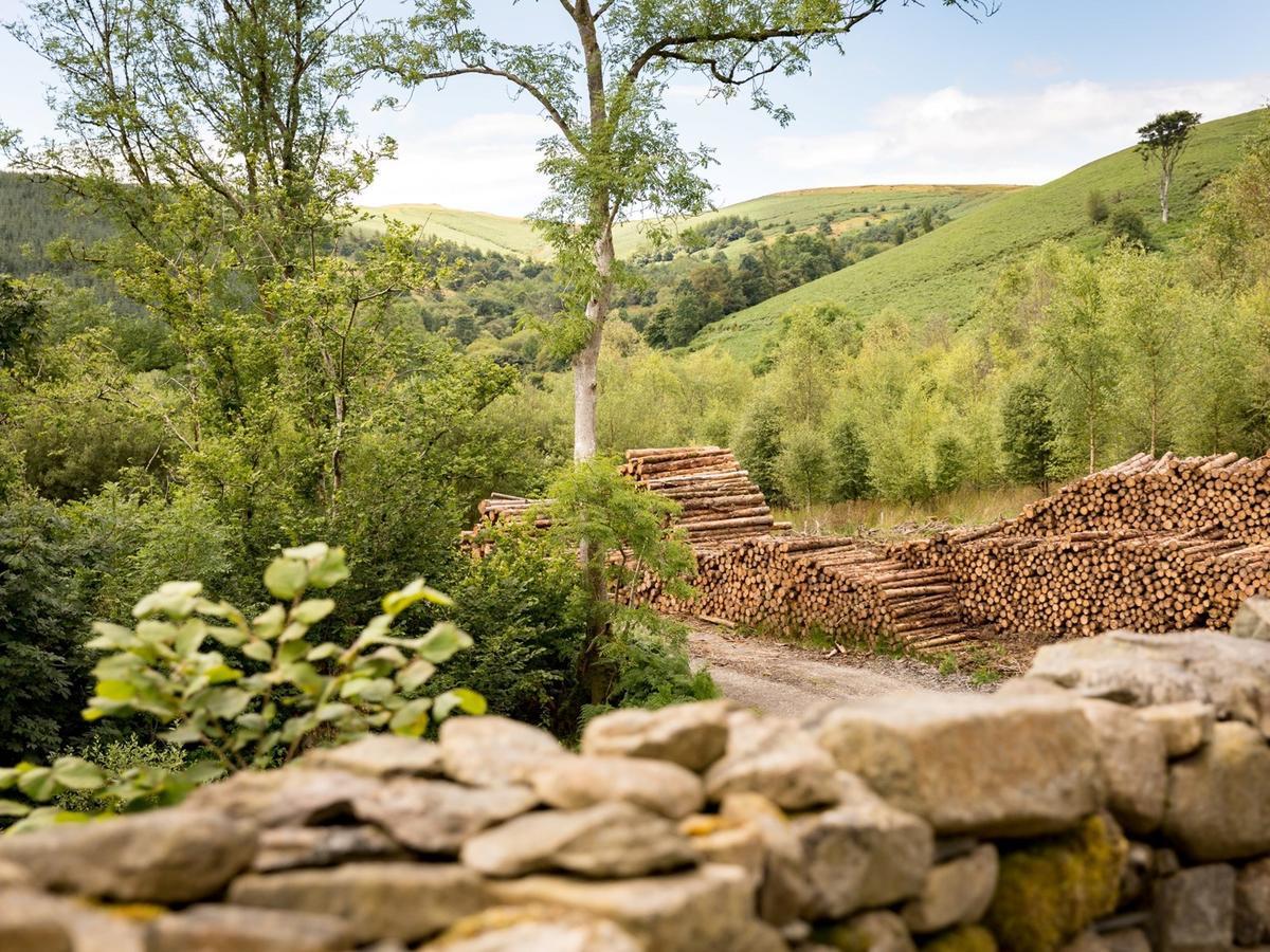 Red Kite Barn - Charming Boutique Barn Conversion Newbridge on Wye Eksteriør bilde
